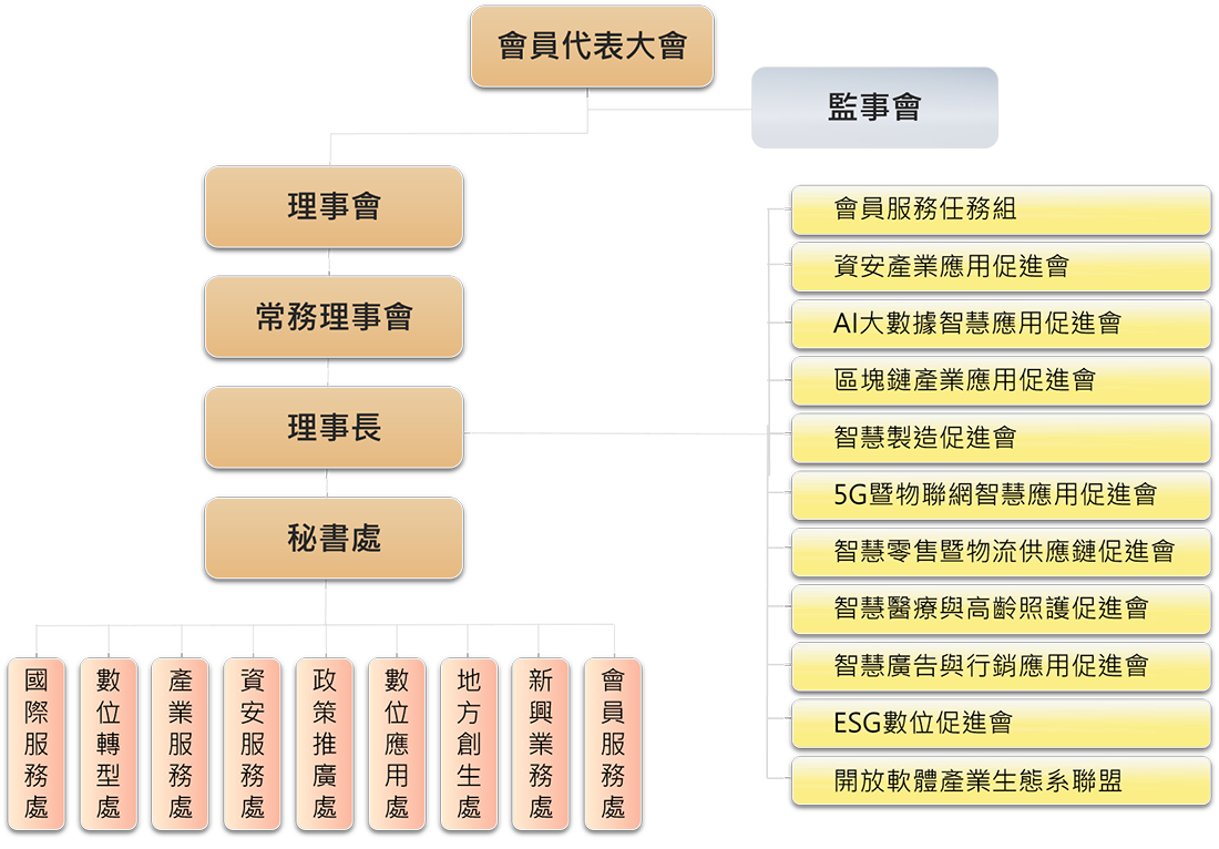 中華軟協組織圖